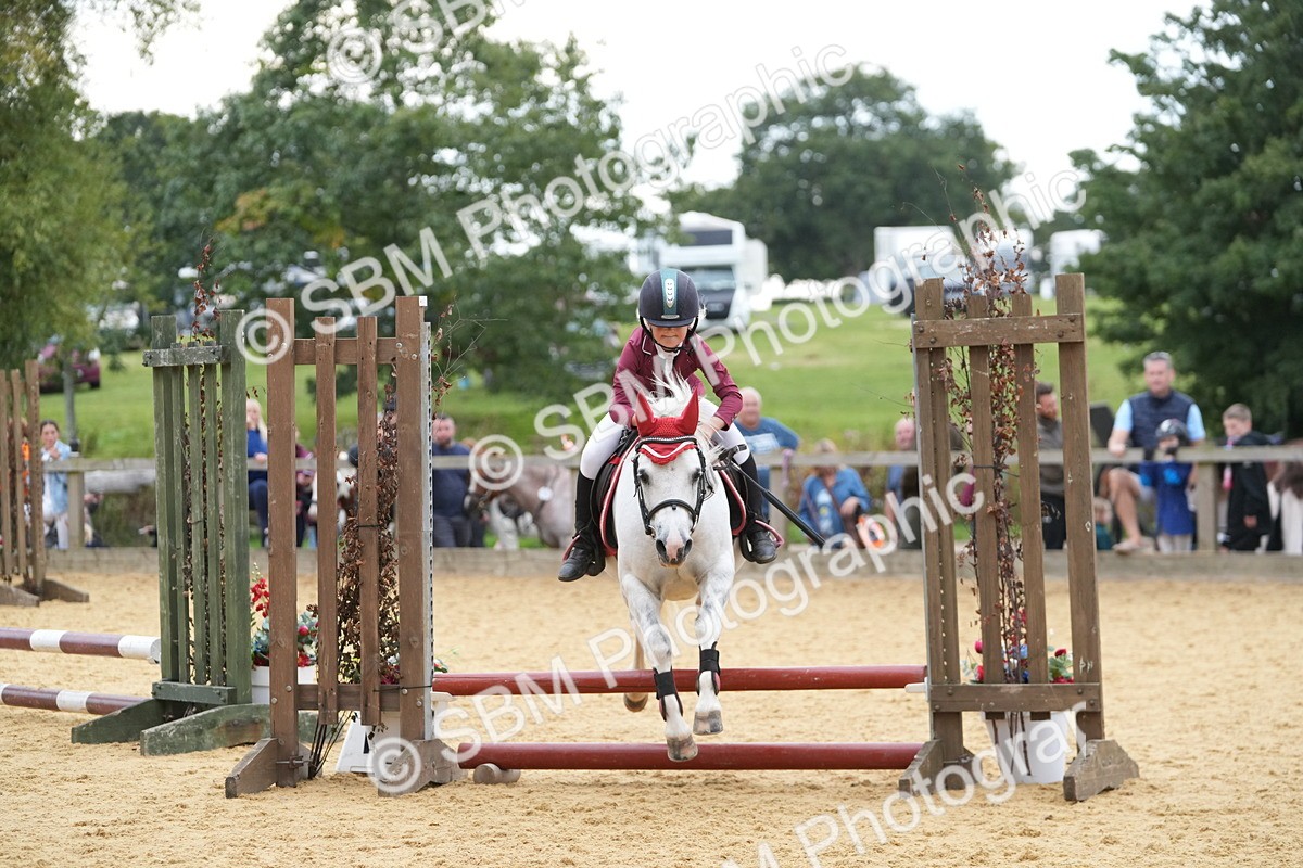 SBM_74613 - J4 - Mini Tour Junior Pony 45cm Championship