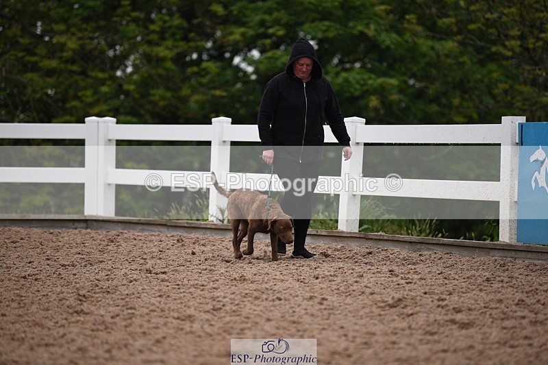 240518A-124752-01203 - Cls 5 Best Purebred