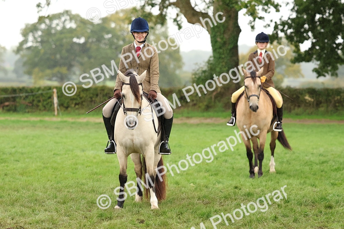 SBM_69717 - S62 - Mountain & Moorland Ridden Large Breeds