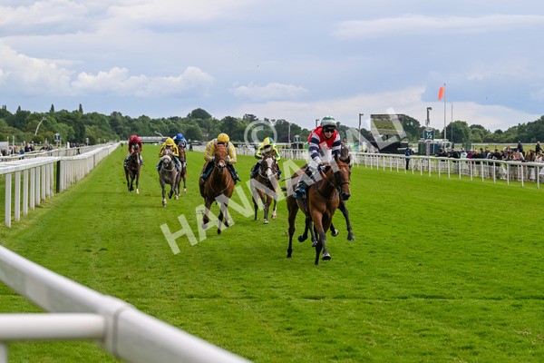 140624-Race 4-Havana Gila-4493 - Race 4 3.35pm Seat Unique Ganton Stakes