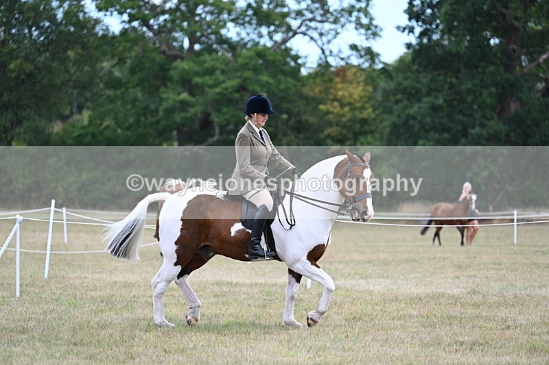 WJ7_5162 - Class 12 Ridden Cob