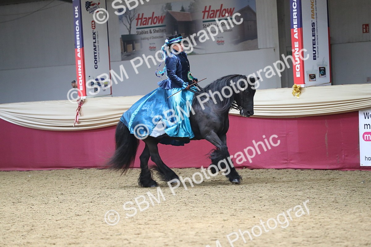 SBM_12213 - Class 107 Ridden Costume- Astride Adult (20+)