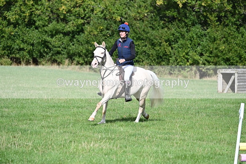 WJ7_8497 - 60cm Pairs