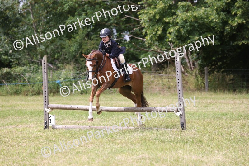 20260614-4133 - Class 24 - Mini and Major Pairs Jumping