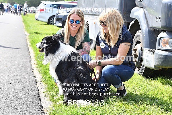 BPP_9113 - CLASS 5 Senior 1.30m Open inc. The Wright Johnston & Mackenzie LLP RHS Young Masters Qualifier (1.30