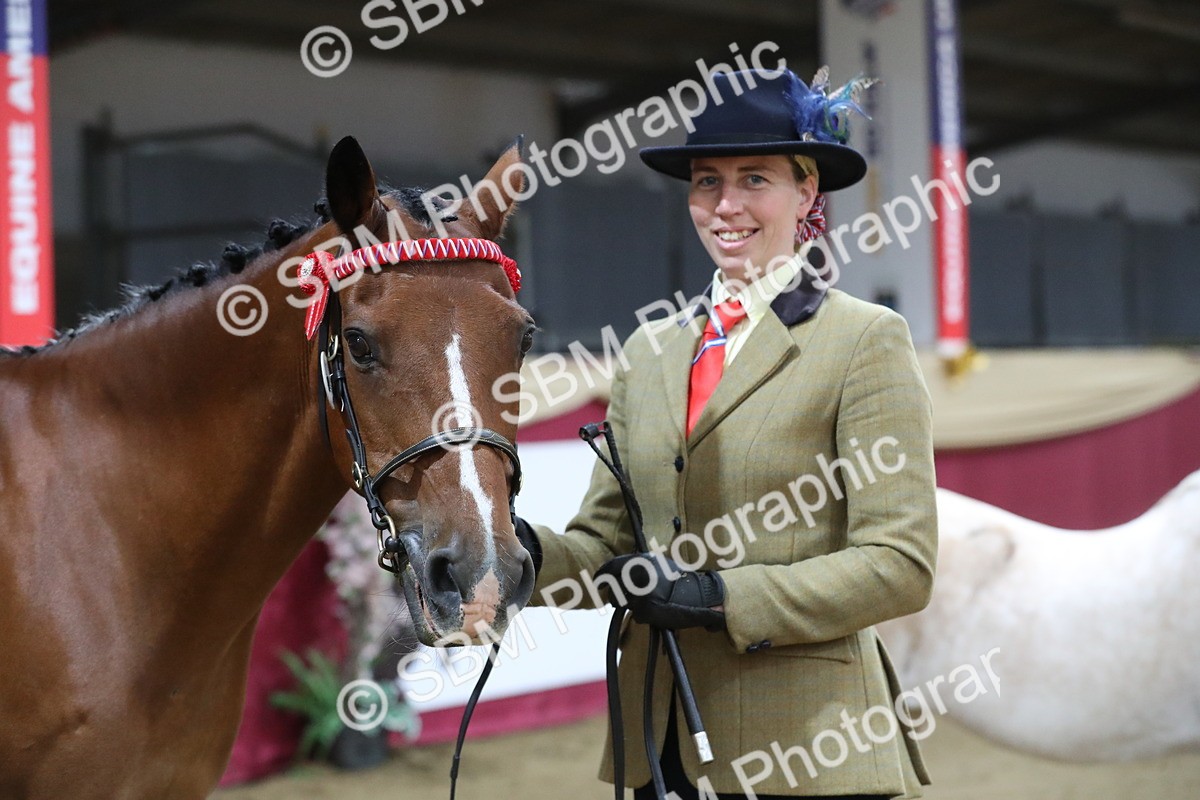 SBM_00277 - Class 1a - Area IH Diamond