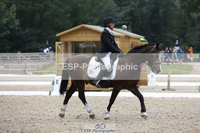 230812-102158-03201 - Cls 5 Novice Bronze Start to 10.55 break