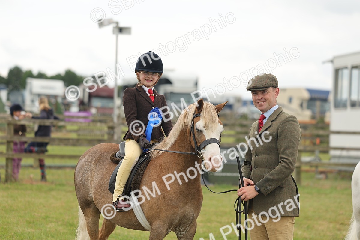 SBM_06808 - Class 74-75 - M&M Lead Rein and First Ridden Pony