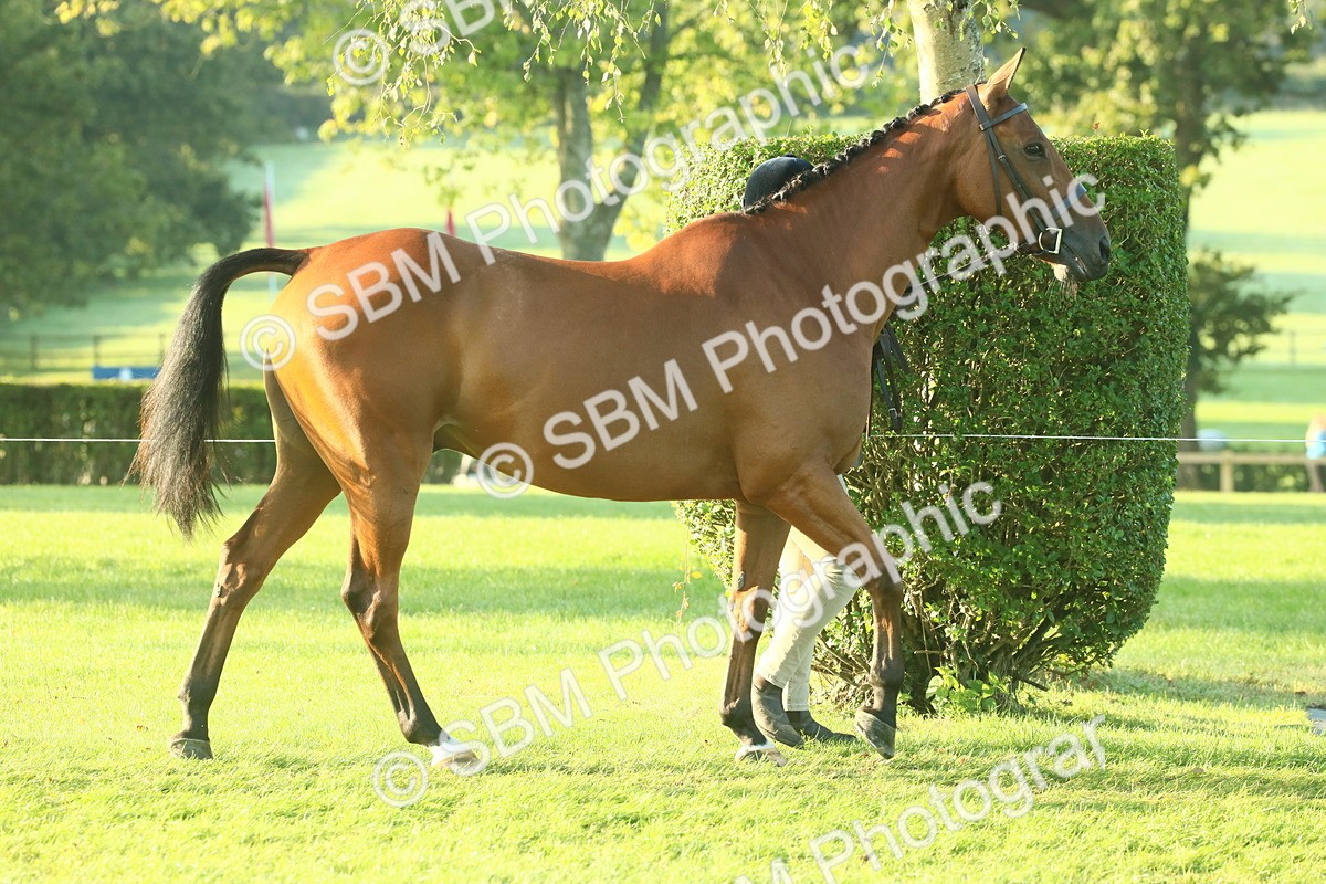 SBM_57311 - S37 - Starters In Hand Showing