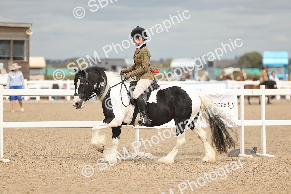 SBM_18018 - Class 314 - Family Horse Pony