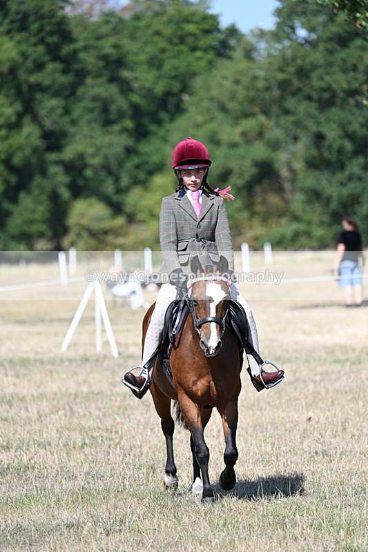 WJ7_4048 - Class 9 Mountain & Moorland Ridden