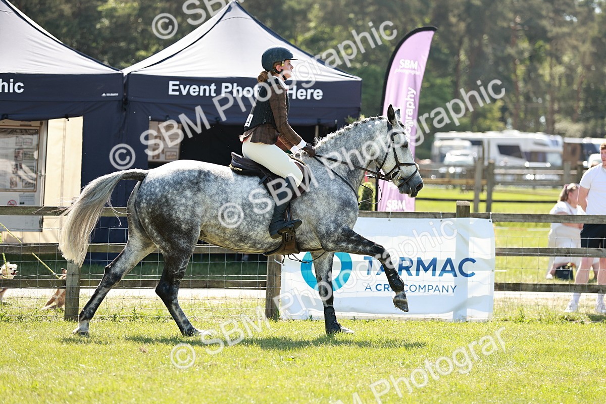 SBM_18386 - Class 112-113 - BSPS LIHS Working Sports Pony