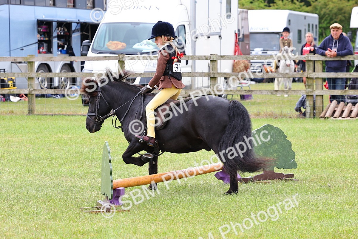 SBM_08675 - Class 42-43 - LIHS BSPS Heritage Working Sports Pony