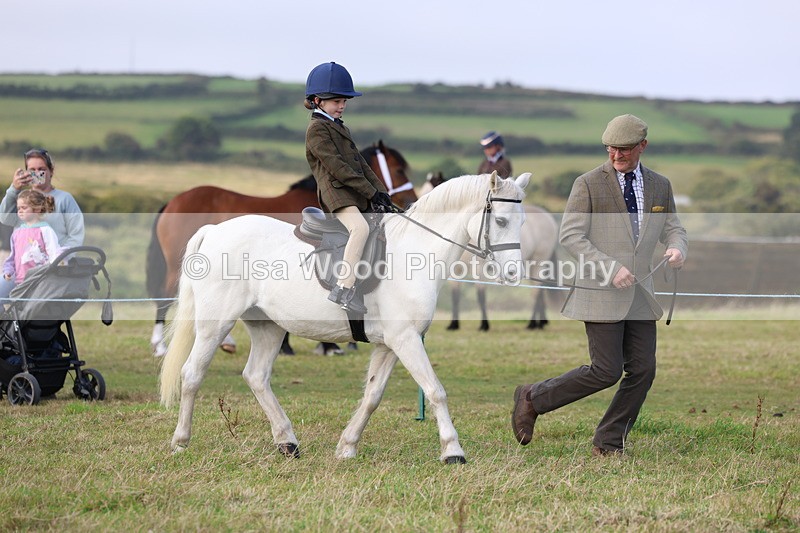 3E7A3479 - Class 2: Lead rein