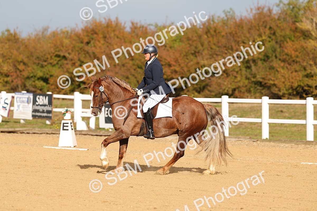 SBM_009298 - Class 1 - P4