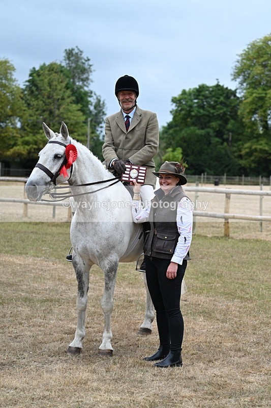 WJ7_1025 - Class 7 Riding Club Show Horse