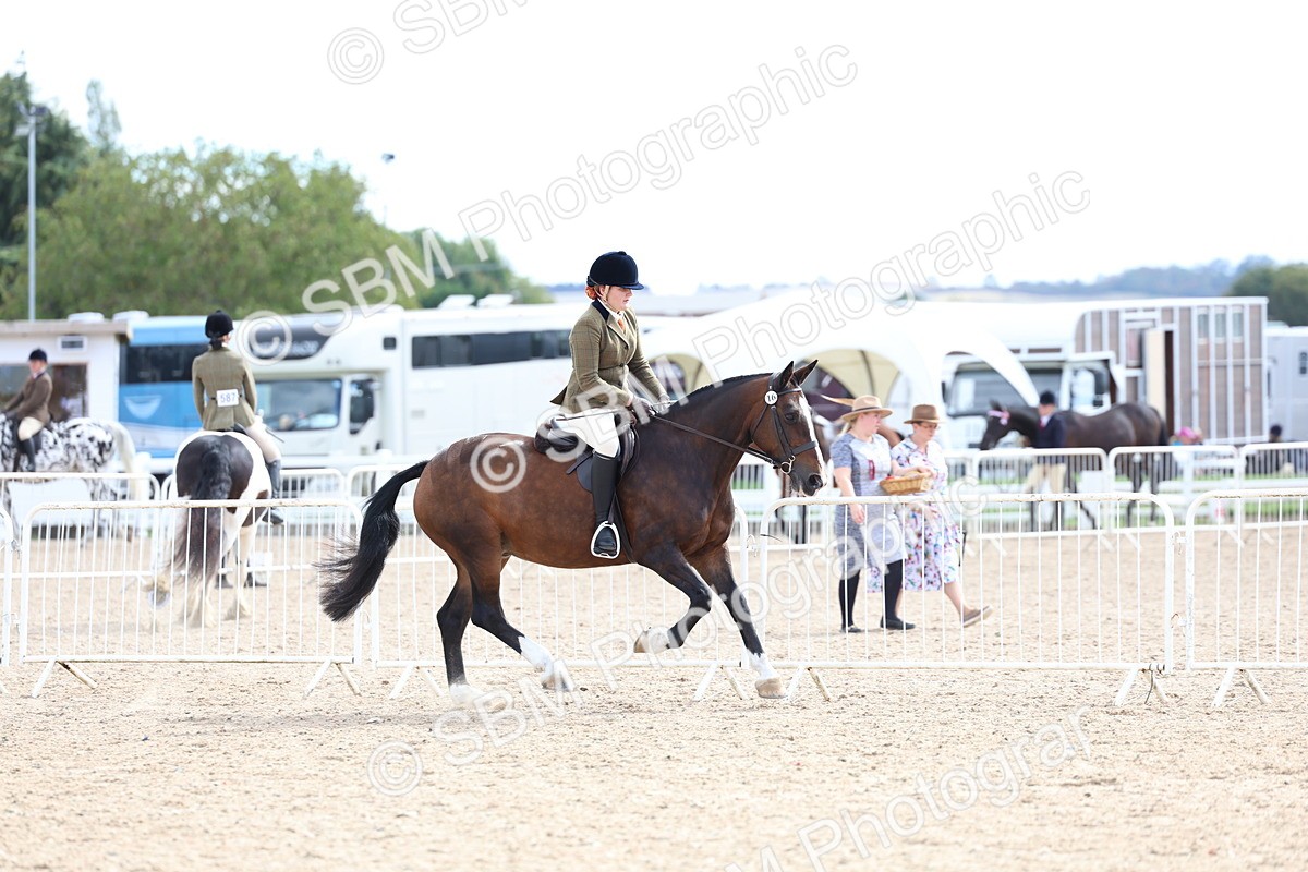 SBM_15825 - Class 314 - Family Horse - Pony