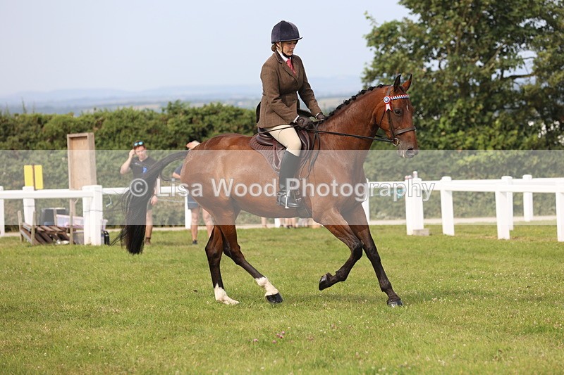 JPP_4236 - Class 25: Working Show Horse