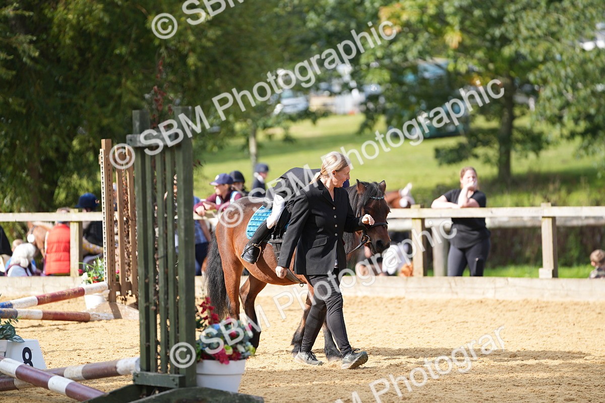 SBM_64332 - J2 - Mini Tour Junior Pony 30cm Championship