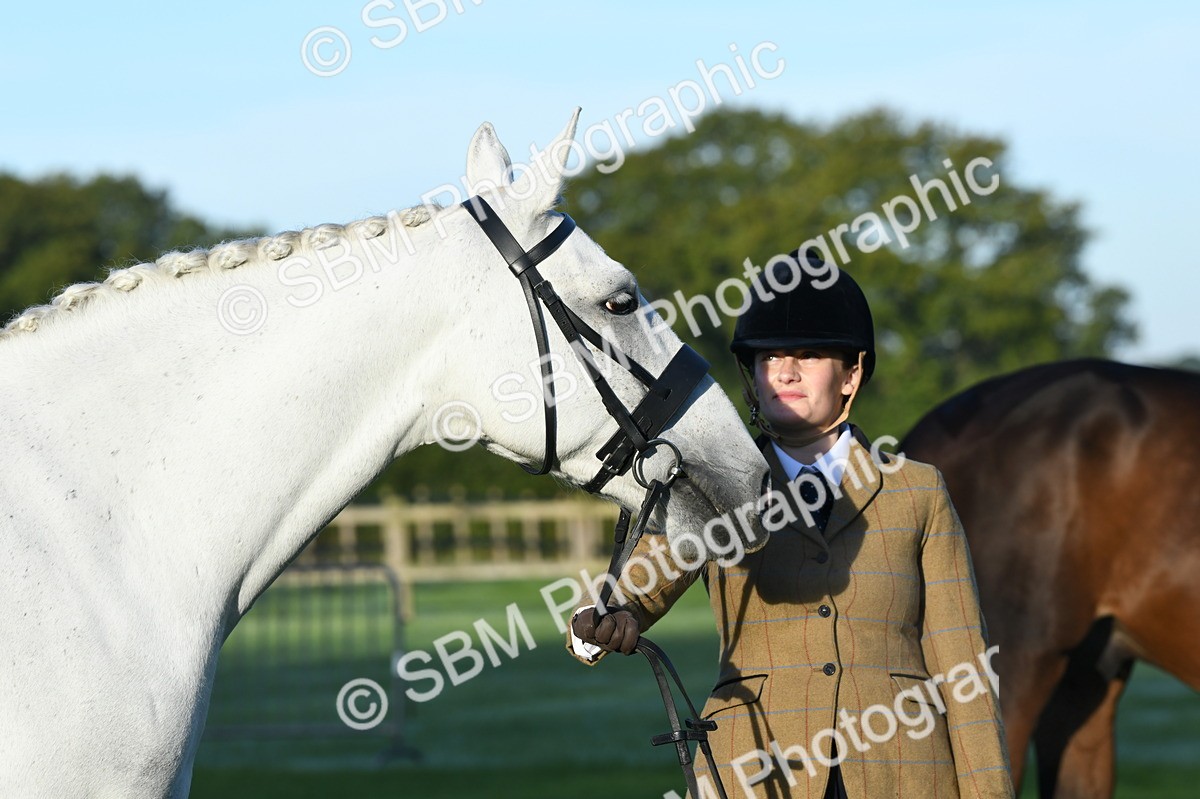 SBM_32638 - S15 - Condition & Turnout In Hand