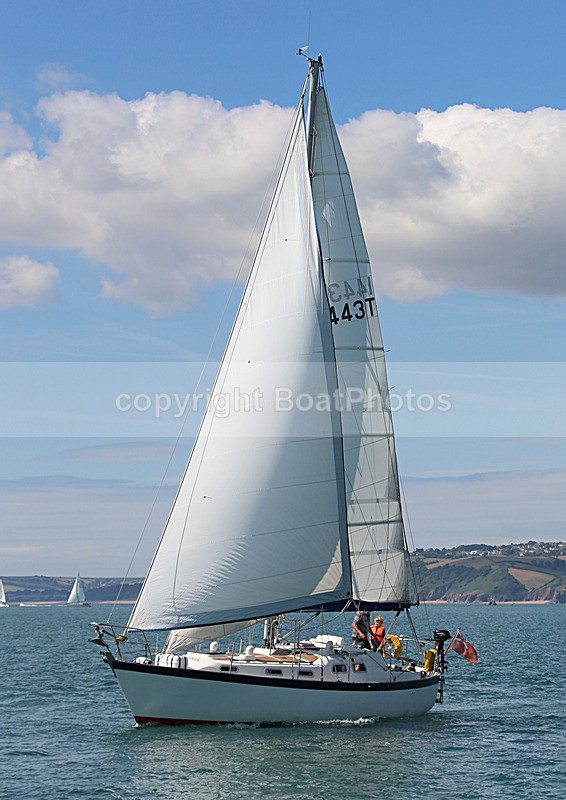 140729 SCOT FREE GBR1443T WT7A1854 - 140729 SCOT FREE GBR1443T