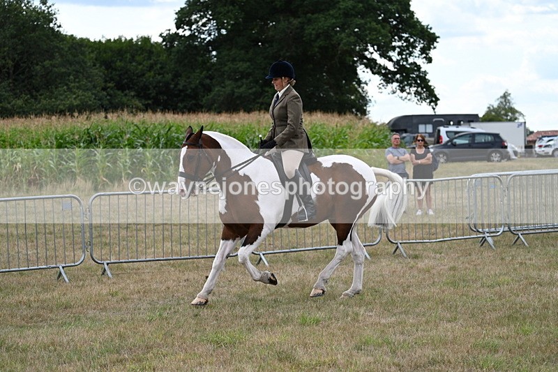 WJ7_5091 - Class 12 Ridden Cob