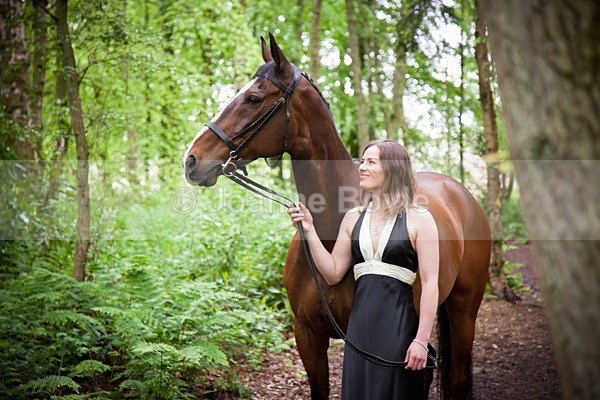 Exracehorse_plean4 - Equine Gallery Portfolio