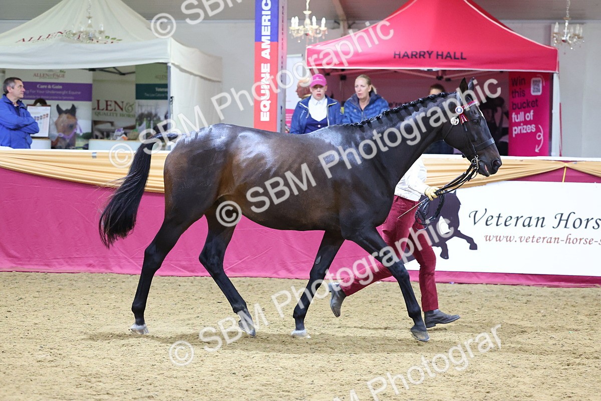 SBM_20785 - Class 902 - Supreme Final IH Veteran