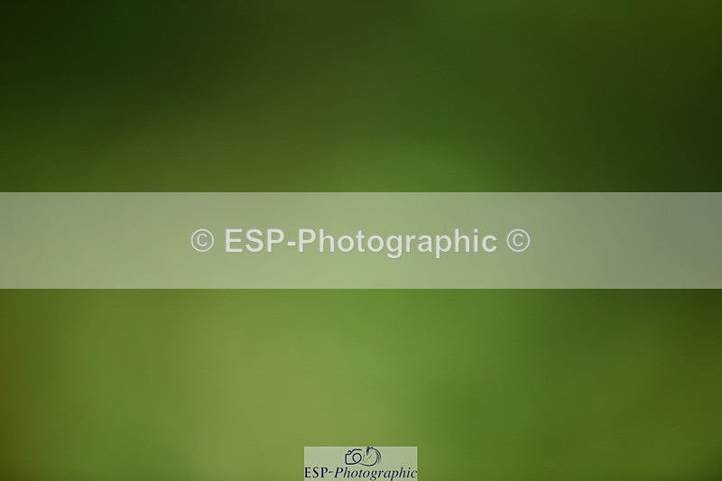 240605-104512-00697 - Cls 2 Prelim 19 SQ