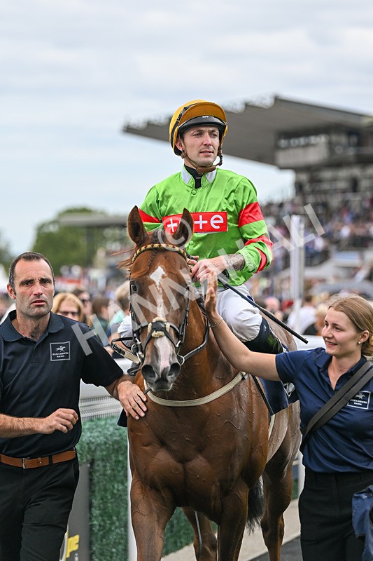 300825-Race 6-Hundred Caps-1900 - Race 6