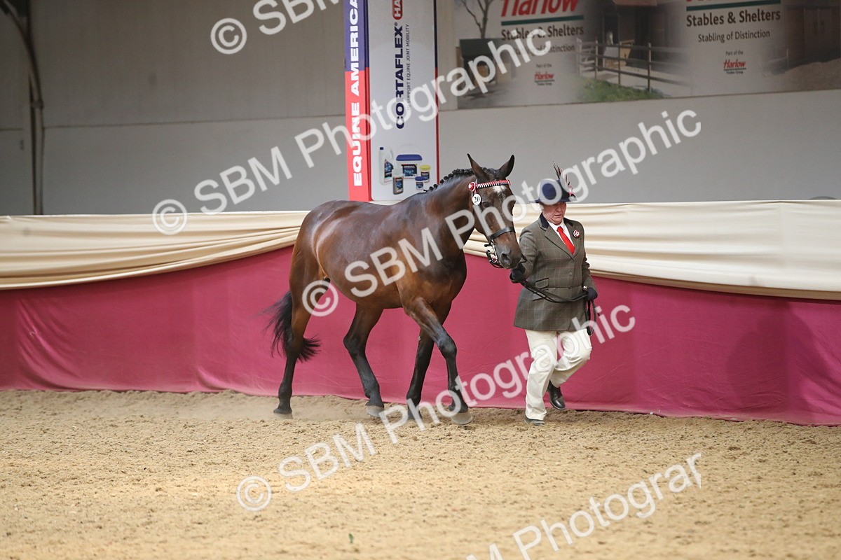 SBM_05251 - Class 8R - Regional IH Veteran