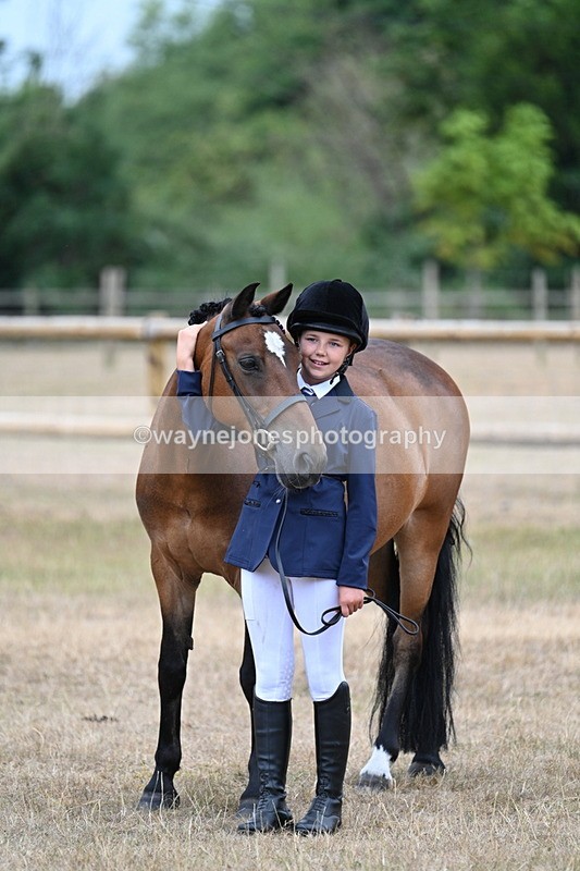 WJ7_9690 - Class 5 Most Handsome Gelding (up to 14.2hh)