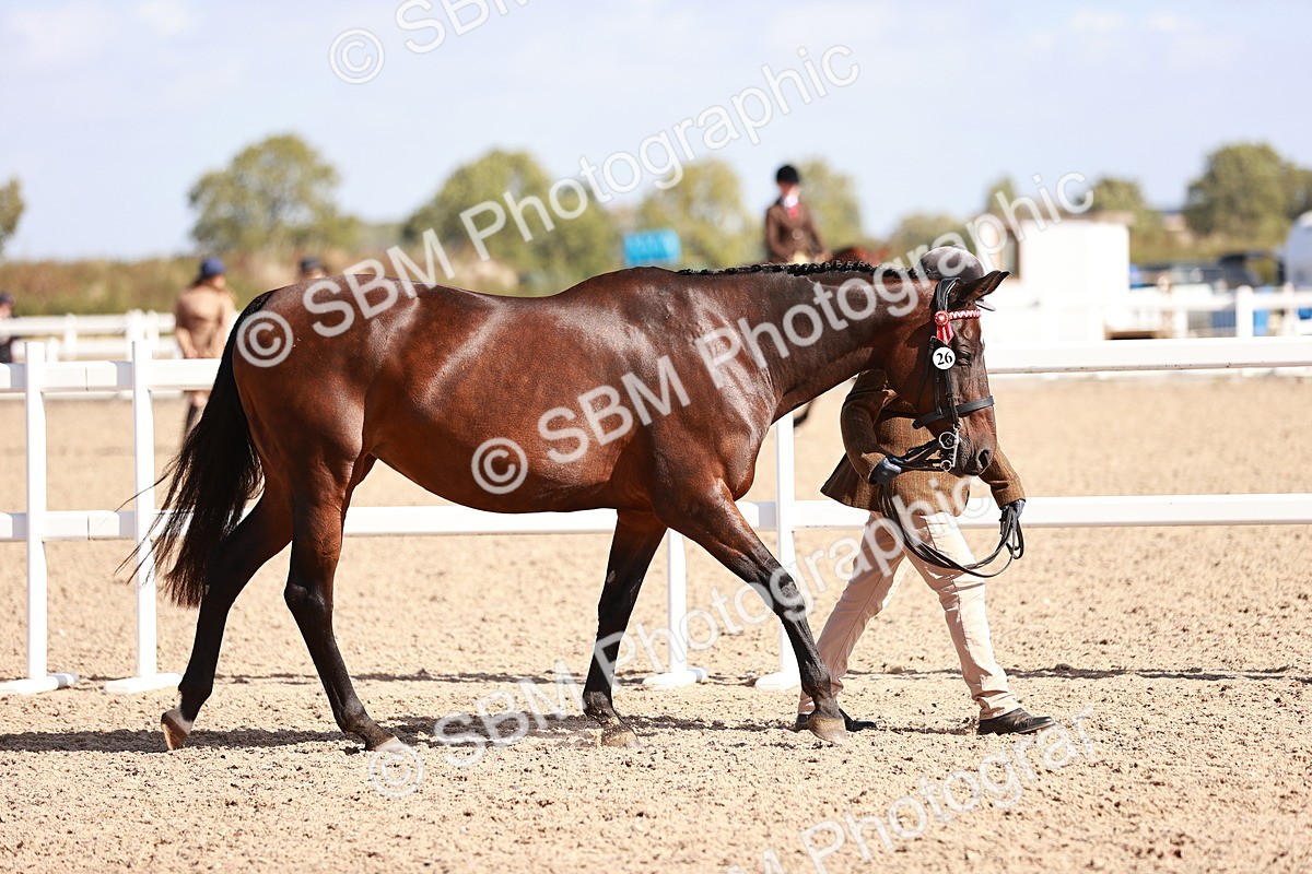SBM_22795 - Class 705 - IH Combination 65+