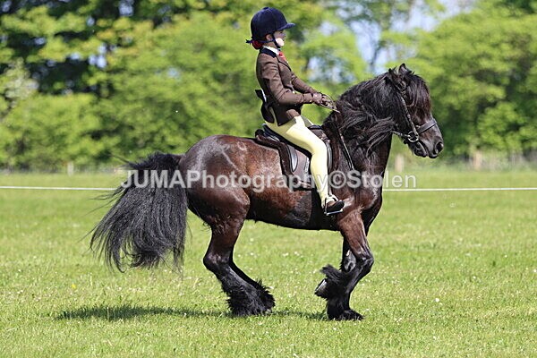 IMG_4395 - Working Hunter