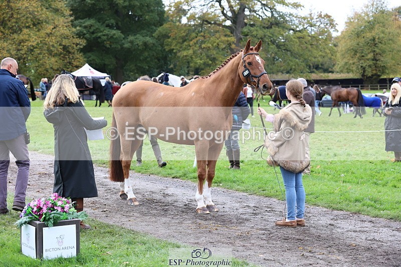 251026A-113813-25580 - G-513-Mimi.van.Ufford