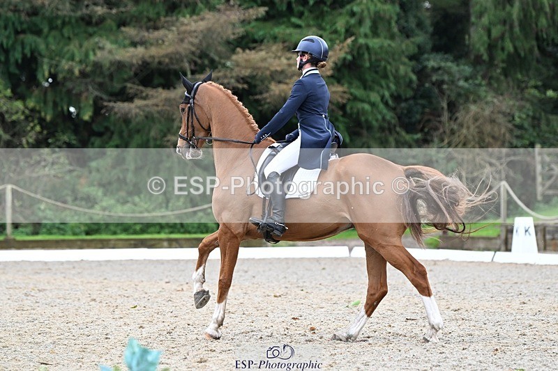 231019-130341-02924 - 049-AUGUSTUS.IMPERIOUS-Ines.Mitchell-DR