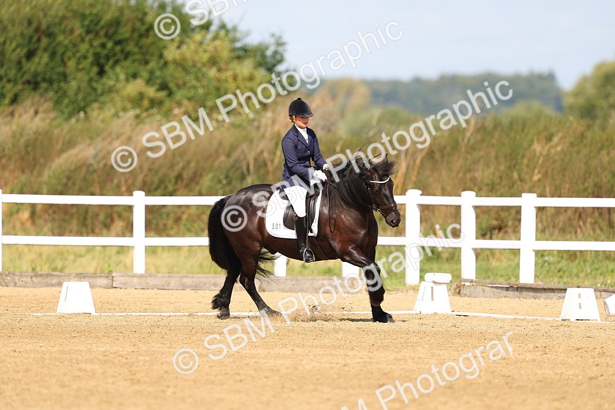 SBM_011618 - Class 1 - Prelim 19 - 10.50-11.46