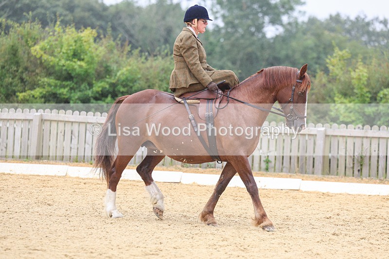 3E7A5481 - Class 2: Intro 4 2024 section B