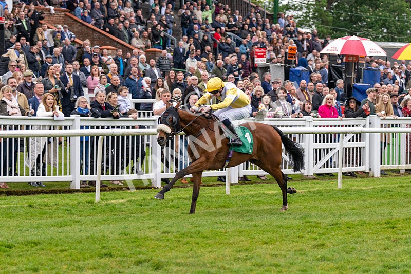 040524-Race 2-Wobwobwob-4085