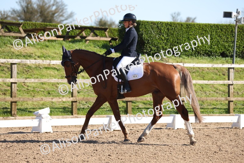 20260318-0641 - Class 6 - Novice 3