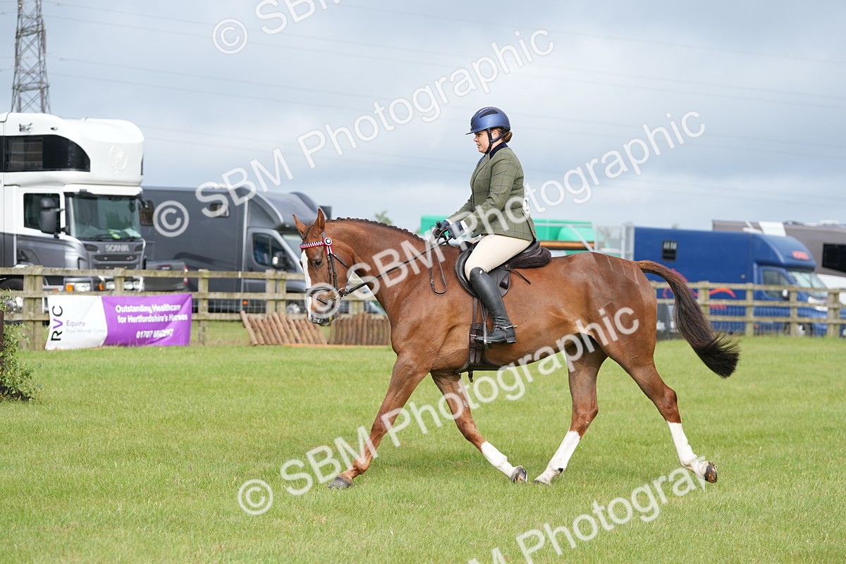 SBM_10585 - Class 97-98 - LIHS BSHA Rising Star Working Show Horse Hunter