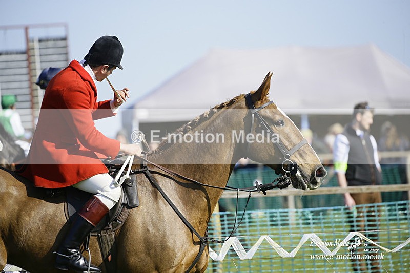 PtP 190322 451 - Wilton Hunt PtP Milborne St Andrew 19/03/22