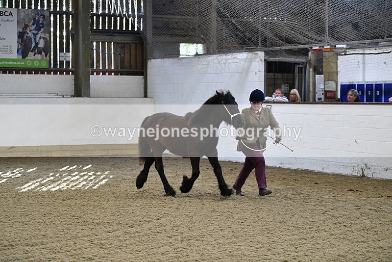 WJ5_3521 - Class 1 Youngstock