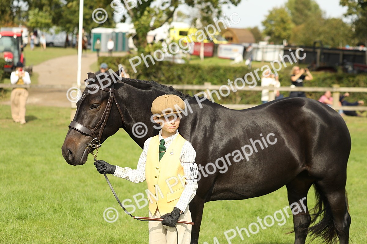 SBM_68685 - S40 - Junior Handler 9-12 Years