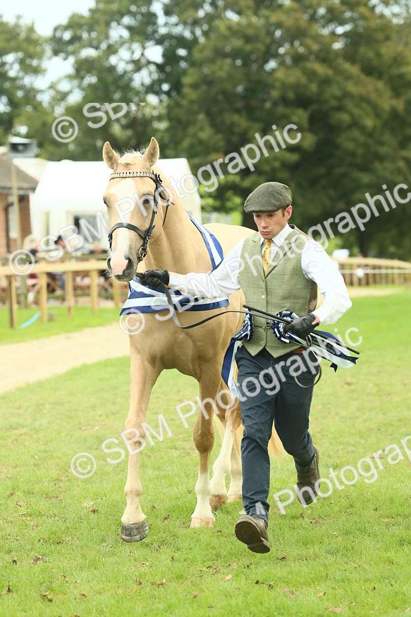 SBM_75190 - Super Supreme Championship