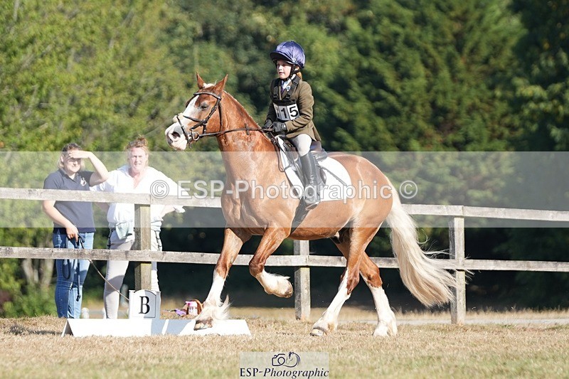 250823A-092714-25669 - Arena A