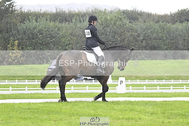 251023A-121008-04025 - F-420-Helen.Buckland