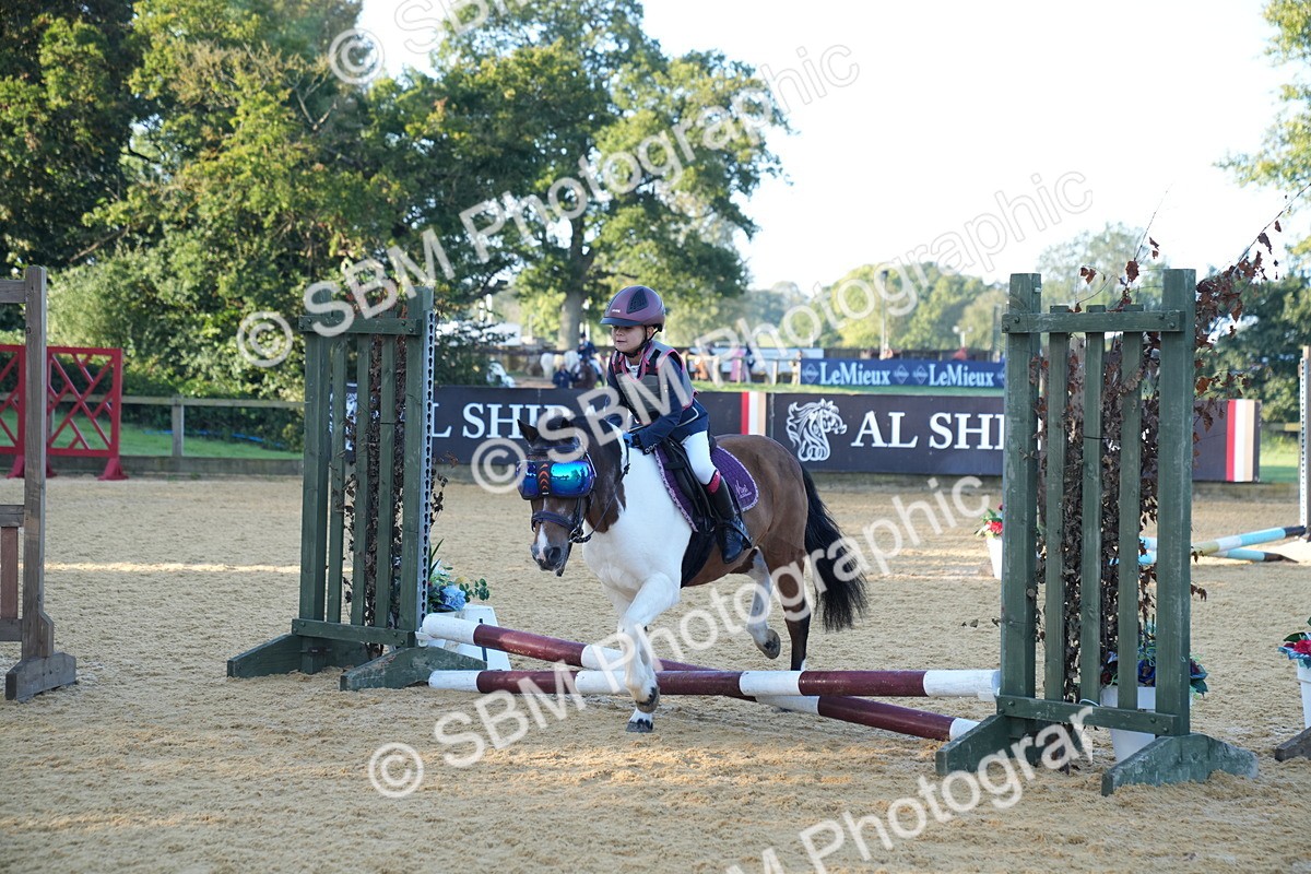 SBM_58957 - J63 - Minis Clear Round 30cm 40cm