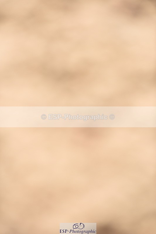 230915A-135200-00603 - Cls 11 Snr Discovery & 1m Open