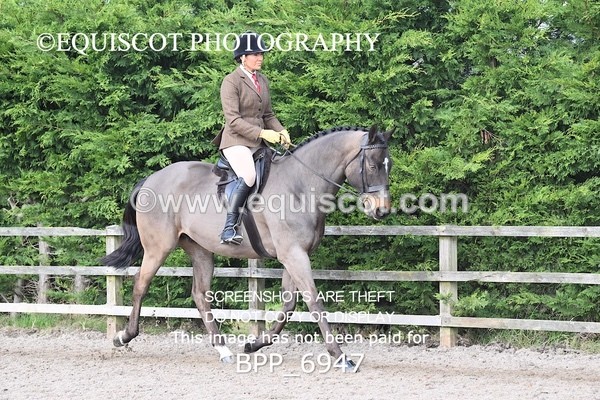 BPP_6947 - RING 1  (RIDDEN HORSES / IN HAND / VETERAN ETC)